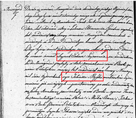 Свидетельство о смерти Шимека Тобиаса.