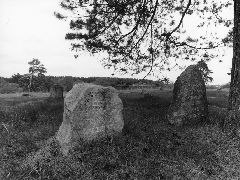 �� ������ ��������� �������� � ����.