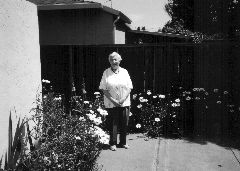 ��� ���������, 2009 �.