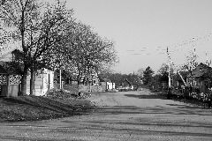 ������� ���������� ������������ ������, 2008 �.