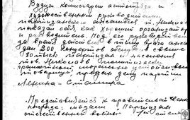 Лист из представления Николаева к медали «Партизану Великой Отечественной войны", заполненный им самим.