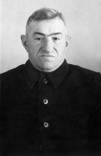 ������ ��������. ���� 1960-� �.