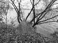 �� ������ ������� ����������� ���������� ��������. ���� 2006 �.