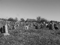 �� ��������� �������� � �. ������ (������� ���.) ���� 2006 �.